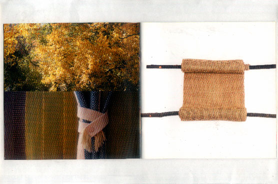 stefania di petrillo orbe la rochelle - orbe